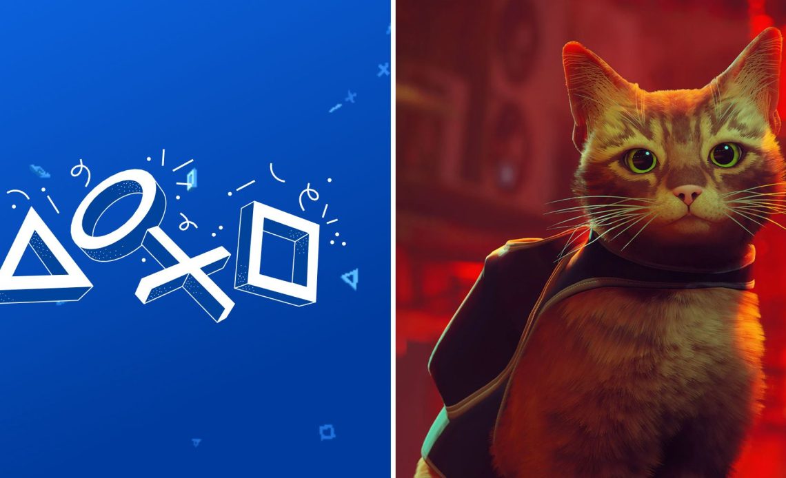 The PlayStation Wrap-Up logo and the cat from Stray