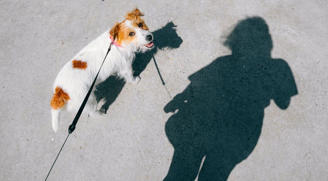 Osuruk, daha düşük diyabet riski olan sindirim sağlığını teşvik edebilir. Birlikte